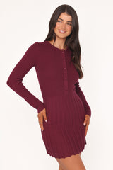 Darlina Long Sleeve Mini Dress - Burgundy