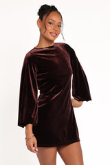 Twylar Long Sleeve Velvet Mini Dress - Brown