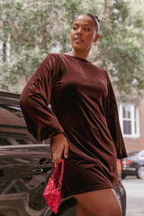 Twylar Long Sleeve Velvet Mini Dress - Brown