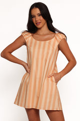 Pammy Mini Dress - Terracotta Stripe