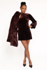 Twylar Long Sleeve Velvet Mini Dress - Brown